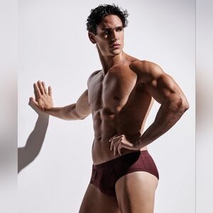 Ron Dorff Y-Front Briefs Red Dahlia